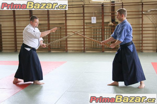 mezinarodni-seminar-tenshin-sh-den-katori-shint-ry