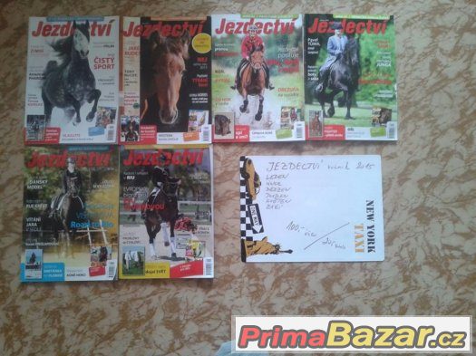jezdectví – fotografie 4