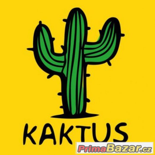 SIM KARTY Kaktus