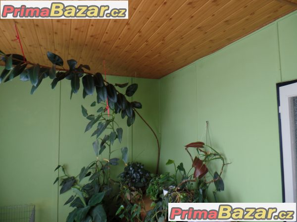 Prodej rodinného domu Prodej rodinného domu