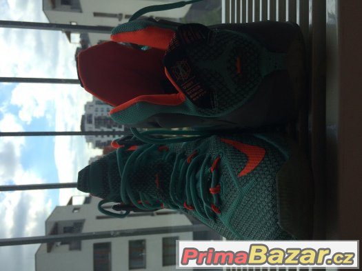 LeBron James XII