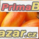 rajce-blush-tiger-semena-18-kc