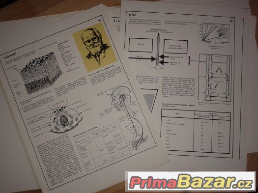 Biologie v obrazech - Stanislav Trojan