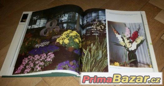 Prodám foto knhu Flora Olomouc