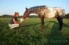 Valach appalosa 5let, výška 158cm