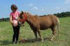 Valášek v typu minipony 90cm,4 roky