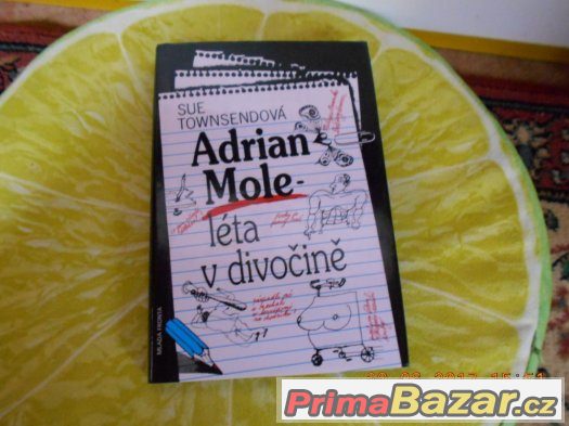 Knížka ADRIAN MOLE