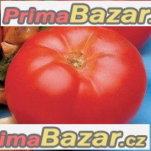 Rajče Beefmaster VFN - semena Rajče Beefmaster VFN - semena