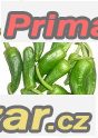 Chilli Pimiento de pardon - semena