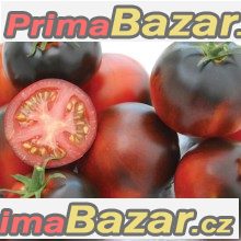 rajce-indigo-apple-semena
