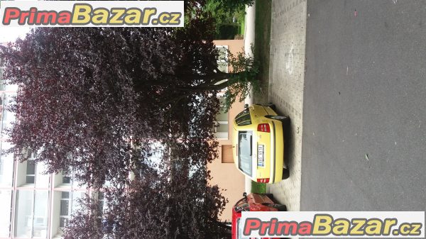 Od 1.1.2018 pronajmu byt 1+1 , 2x lodžie 43m2 Od 1.1.2018 pronajmu byt 1+1 , 2x lodžie 43m2