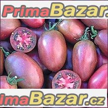Rajče Purple Russian Plum - semena