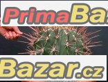 ferocactus-emoryi-semena