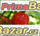 Chilli Scoth  Bonet  Red - semena