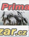 trachycarpus-fortunei-sazenice-25-cm