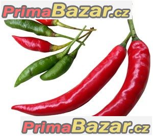 chilli-bird-s-eye-semena