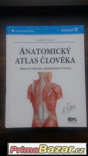 Netter - Anatomický atlas člověka