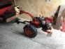moto blok BELARUS