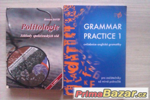 Politologie a Grammar practice 1