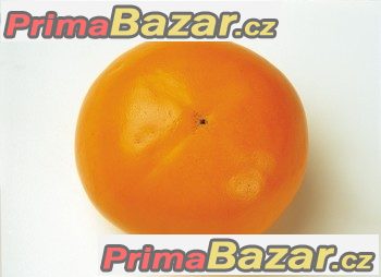 Rajče Orange - semena