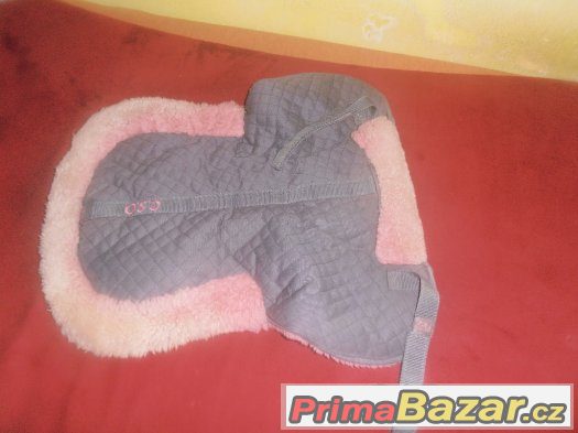 Prodám pravý beránek C.S.O Prodám pravý beránek C.S.O