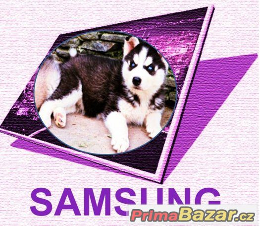 LCD Notebook SAMSUNG 15,4