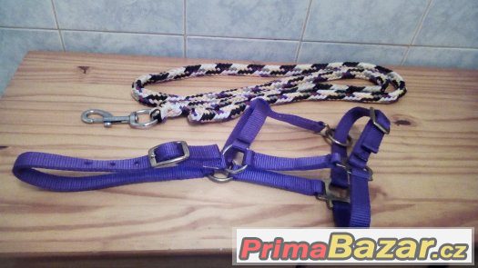 Hříběcí ohlávka a vodítko Hříběcí ohlávka a vodítko