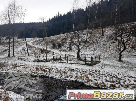 Stavební pozemek (283 m2) a zahrada (2247 m2), Jeseník, Zlat