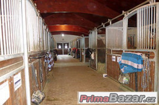STÁJNÍK /OŠETŘOVATEL KONÍ PRAHA - ZÁPAD STÁJNÍK /OŠETŘOVATEL KONÍ PRAHA - ZÁPAD