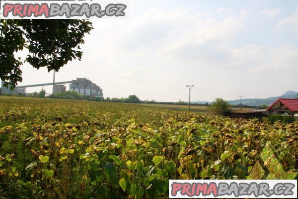 Prodej pozemku 4225m2 v Sulejovicích okr. Litoměřice Prodej pozemku 4225m2 v Sulejovicích okr. Litoměřice