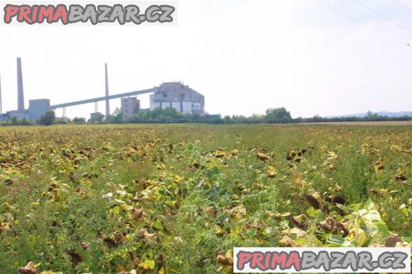 Prodej pozemku 4225m2 v Sulejovicích okr. Litoměřice Prodej pozemku 4225m2 v Sulejovicích okr. Litoměřice