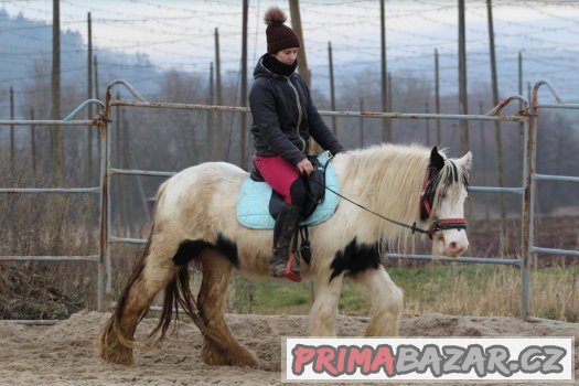 Několik spolehlivých koní do terénu Několik spolehlivých koní do terénu