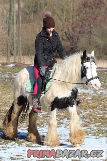 Spolehlivá kobylka irského coba do terénu