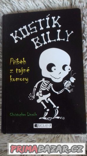 Kniha Kostík Billy
