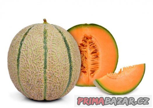 Meloun Cantaloupe - semena 15 ks