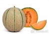 Meloun Cantaloupe - semena 15 ks