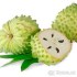 Annona squamosa ( anona šupinatá ) - semena 5 ks