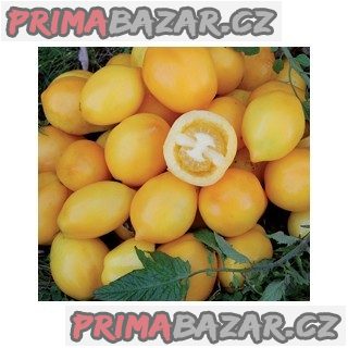 Rajče Lemon Plum - semena Rajče Lemon Plum - semena