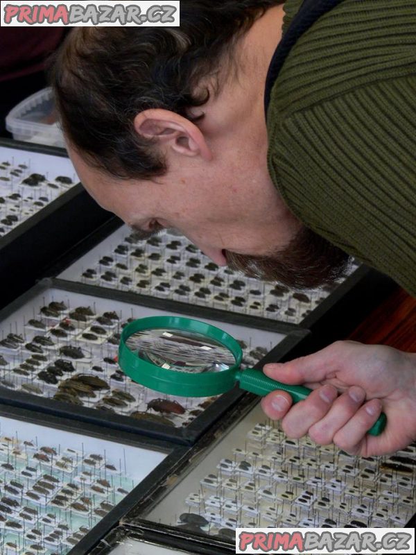 Entomologická výstava, OTROKOVICE, 13.10