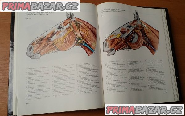 Atlas topografickej anatomie hosporárských zvierat I. - III-