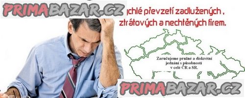 Kompletní převzetí problematických firem.