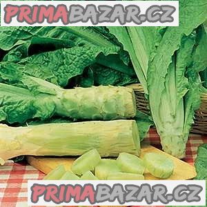Salát Celtuce - semena