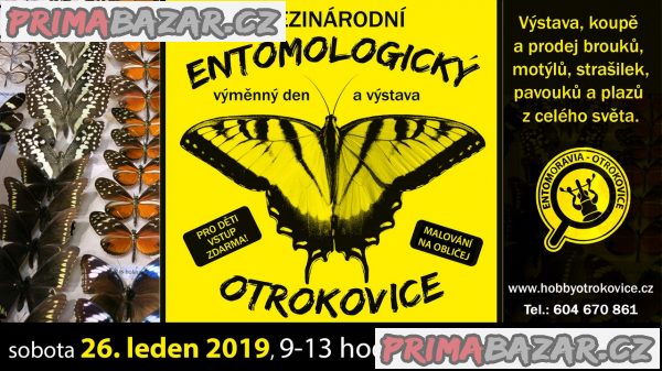 Entomologická výstava, OTROKOVICE, 26.1.2019