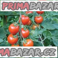 rajce-bejbino-f1-hybrid-semena