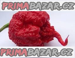 Chilli Carolina Reaper - semena