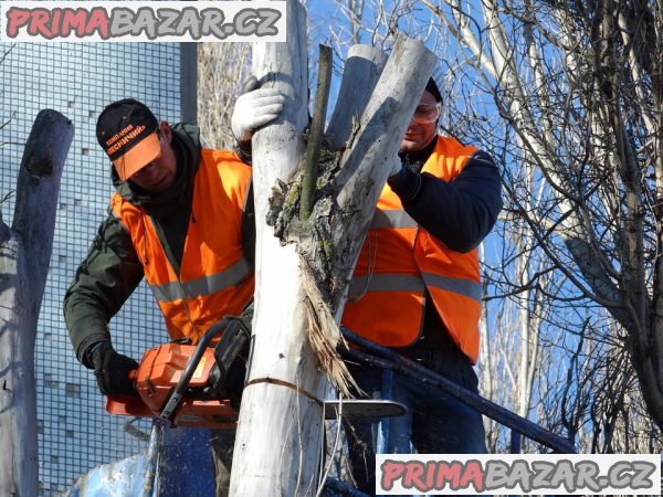 Chcete pokácet strom?