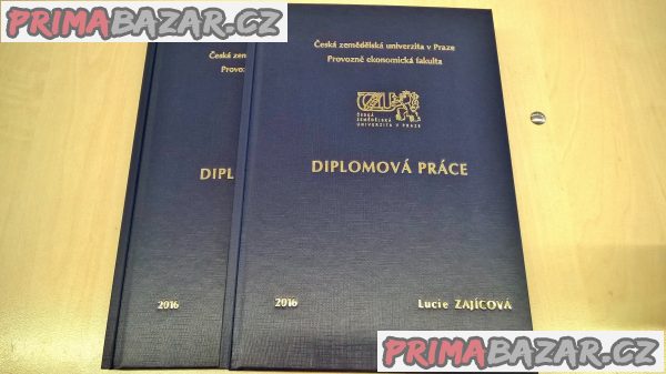 Zpracování podkladů pro seminární a další práce