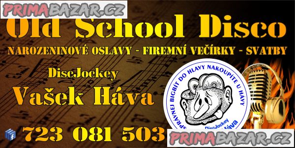 disc-jockey-vasek-hava