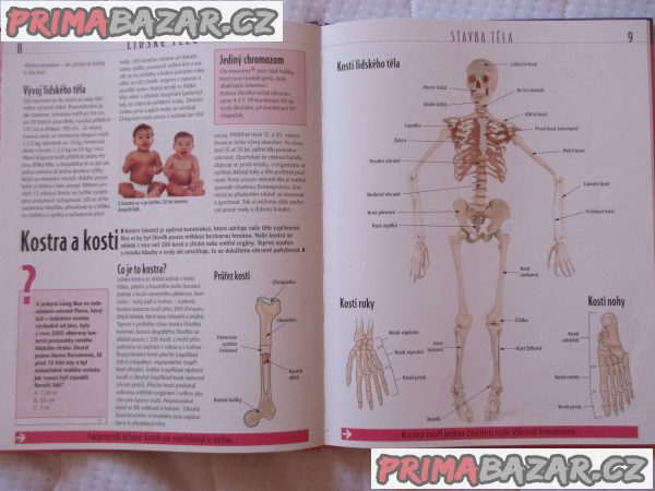 Atlas pro mládež - Lidské tělo Atlas pro mládež - Lidské tělo
