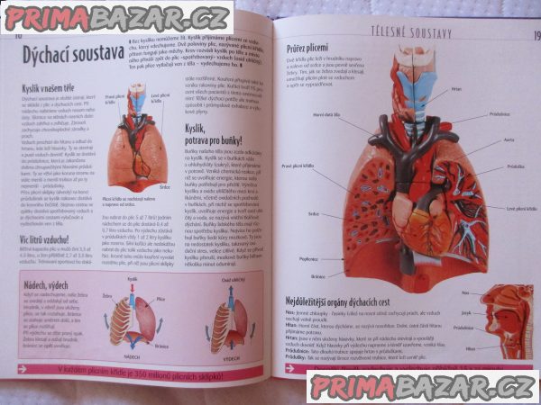 Atlas pro mládež - Lidské tělo Atlas pro mládež - Lidské tělo